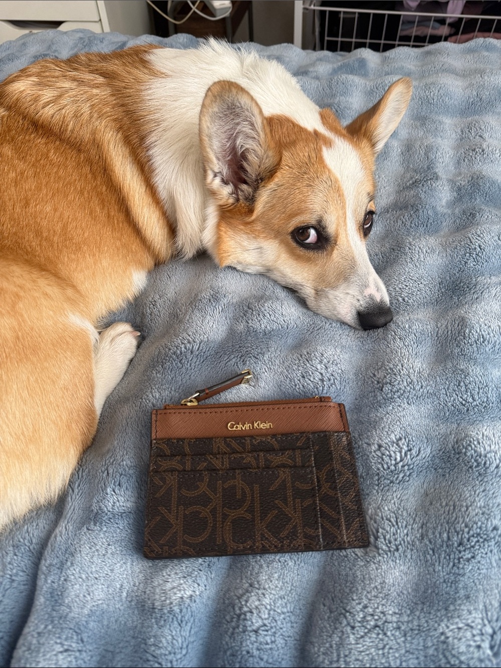 Calvin Klein Brown Tan Monogram Card Pouch